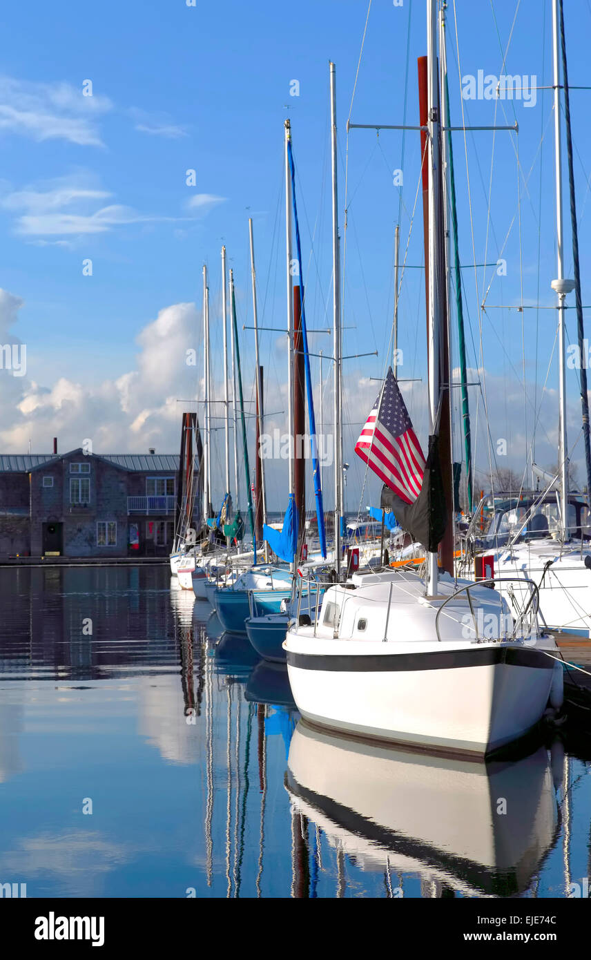 Segelboote vor Anker in einer Marina Portland OR. Stockfoto