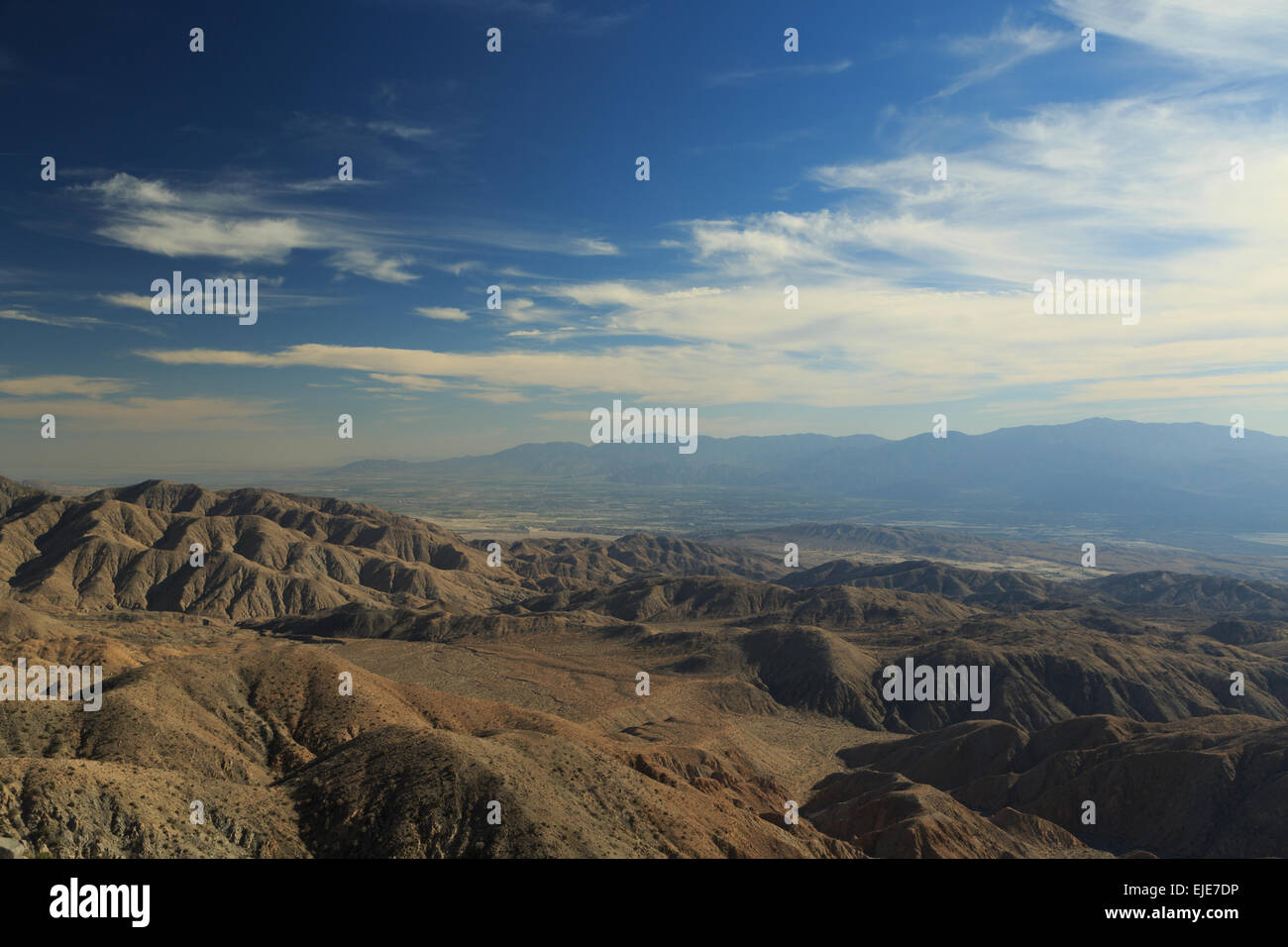 Ein Foto von Keys View in Joshua Tree Nationalpark in Kalifornien. Ein Joshua Baum ist tatsächlich eine Yucca, die wie ein Baum wächst. Stockfoto