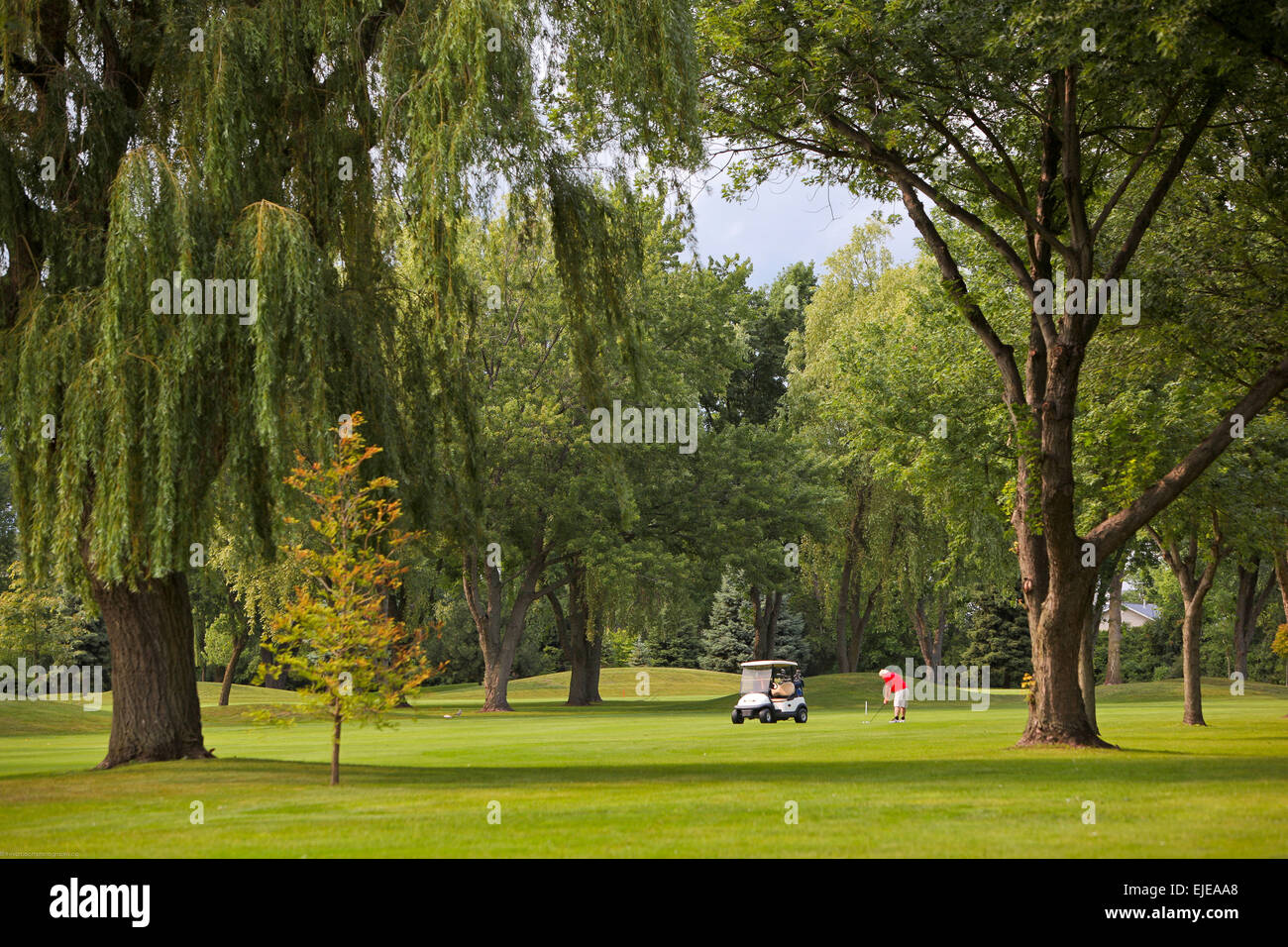 einzelne Golfer eine Aufnahme auf Golf grob Stockfoto