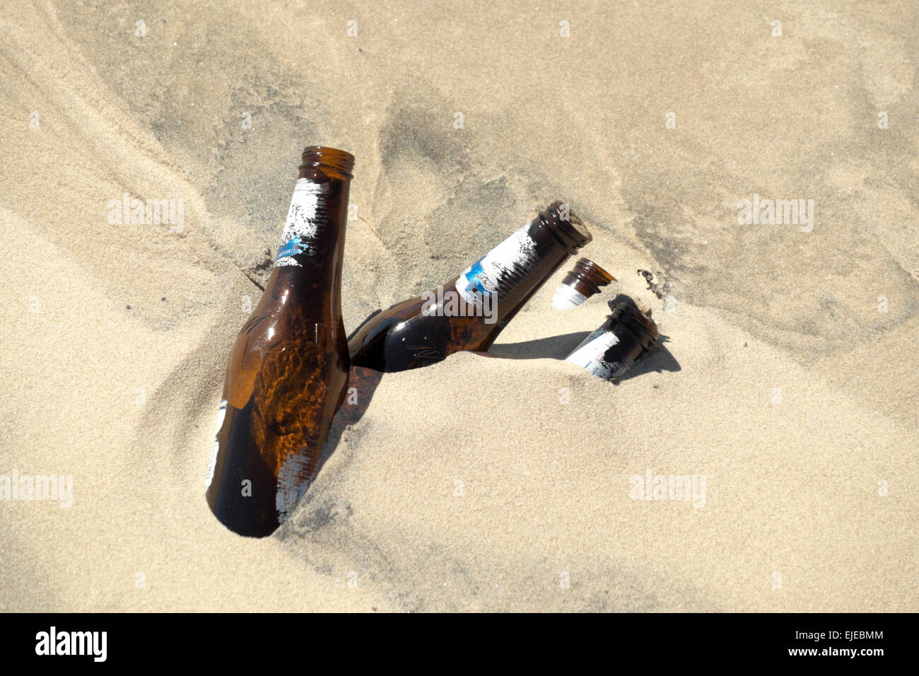 Weggeworfene Bierflaschen in einer Sanddüne auf South Padre Island, Texas, USA Stockfoto