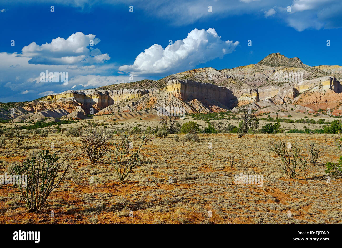 Wüstenlandschaft in New Mexiko in der Nähe von Geist-Ranch und die Stadt Abiquiu. Stockfoto