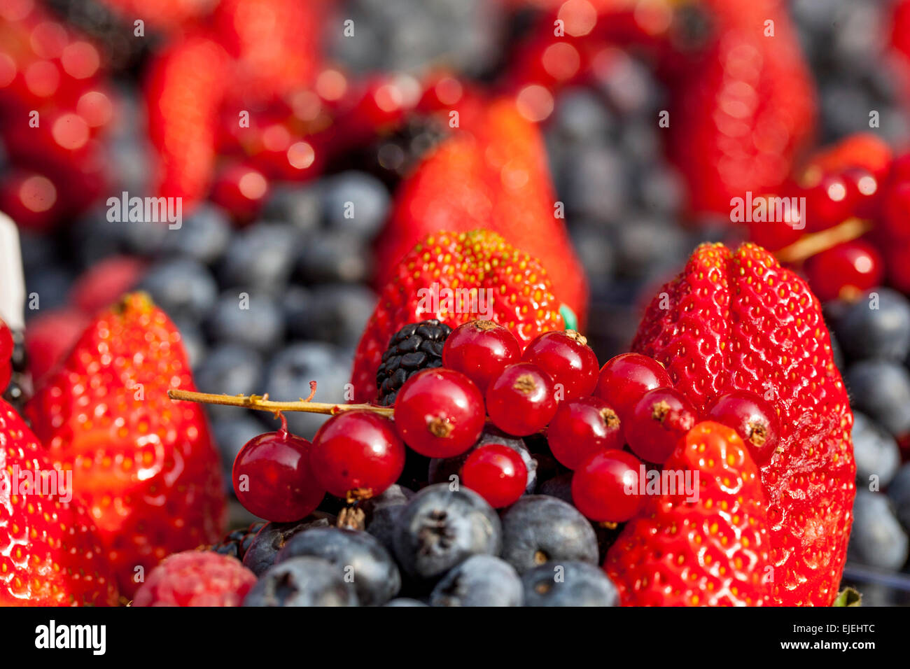 Erdbeeren, Heidelbeeren schließen strukturierte Beeren Früchte Stockfoto