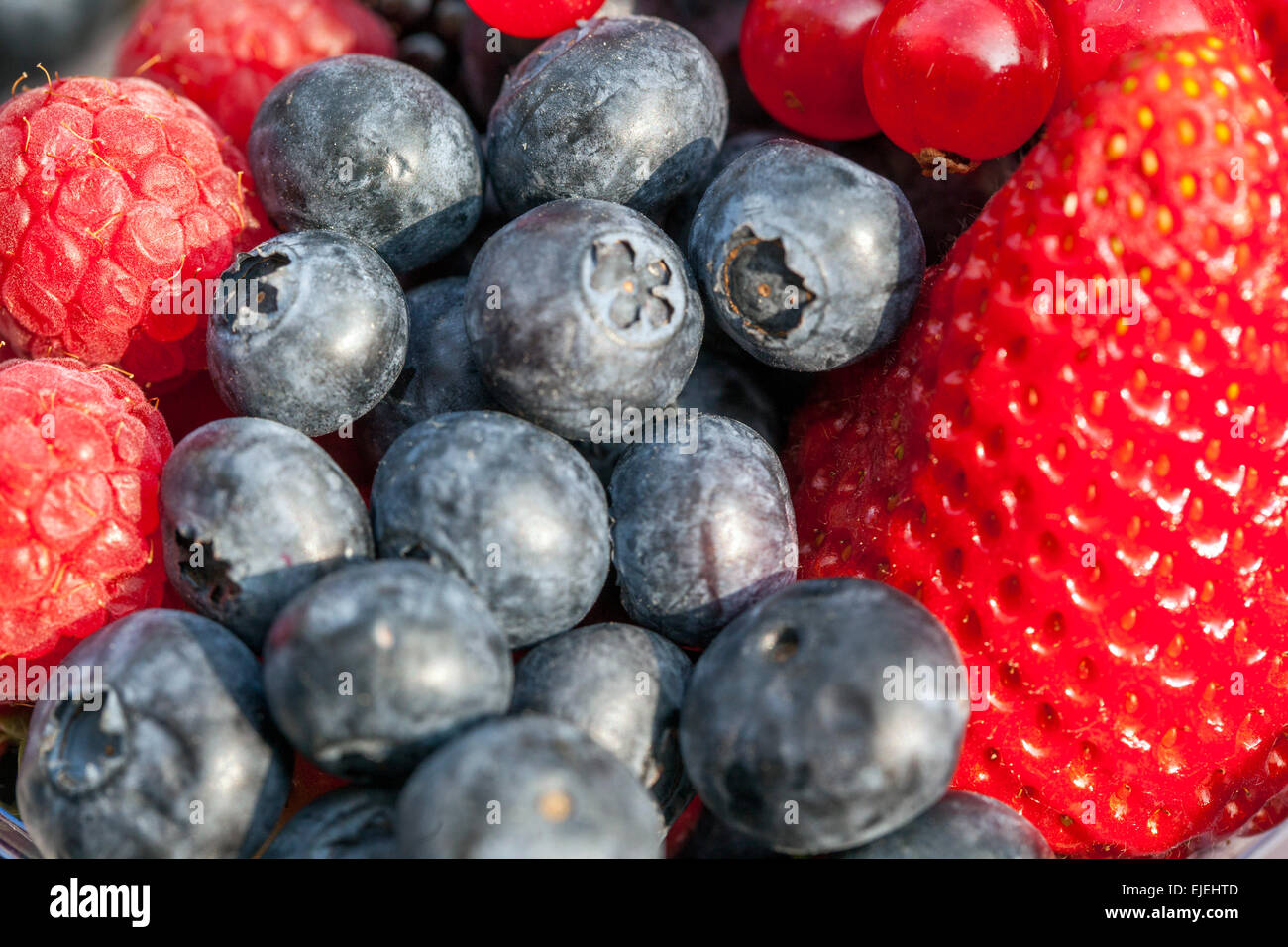 Erdbeeren, Blaubeeren aus nächster Nähe Textur saftige Früchte Stockfoto
