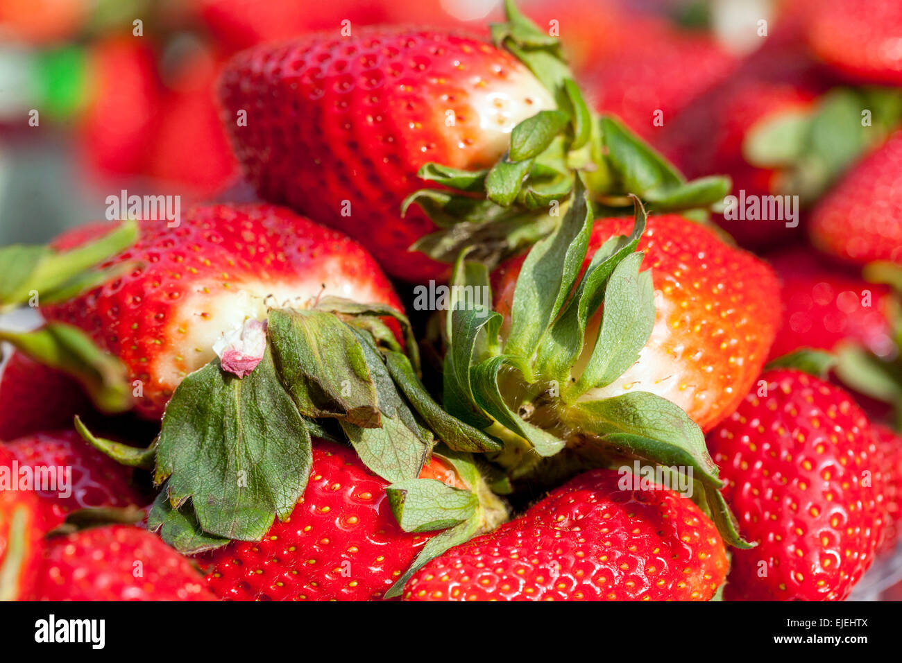 Nahaufnahme Erdbeeren Erdbeeren Süße Früchte, Ausstellung Stockfoto