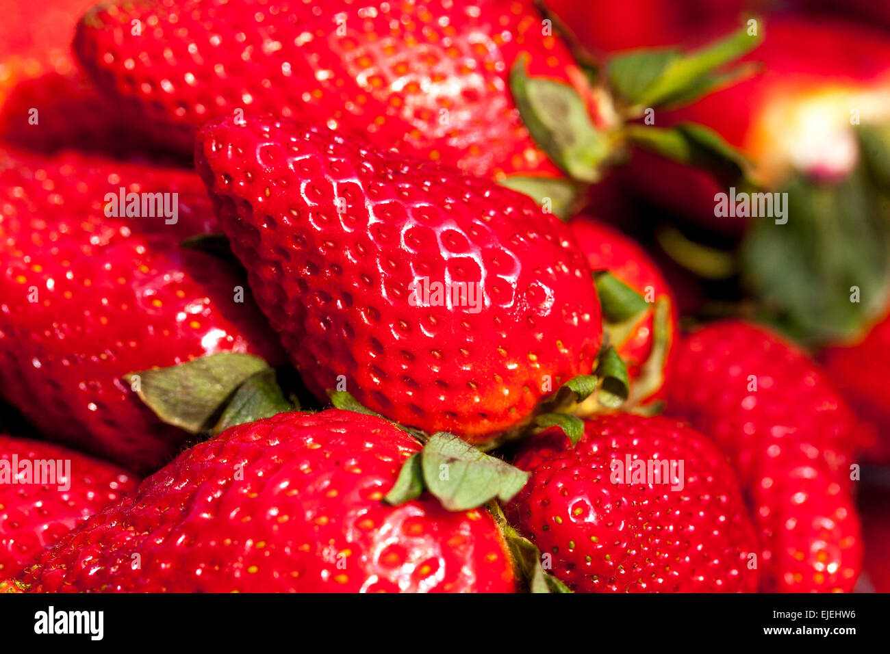 Erdbeeren schließen Erdbeerfrüchte aus der Nähe Stockfoto
