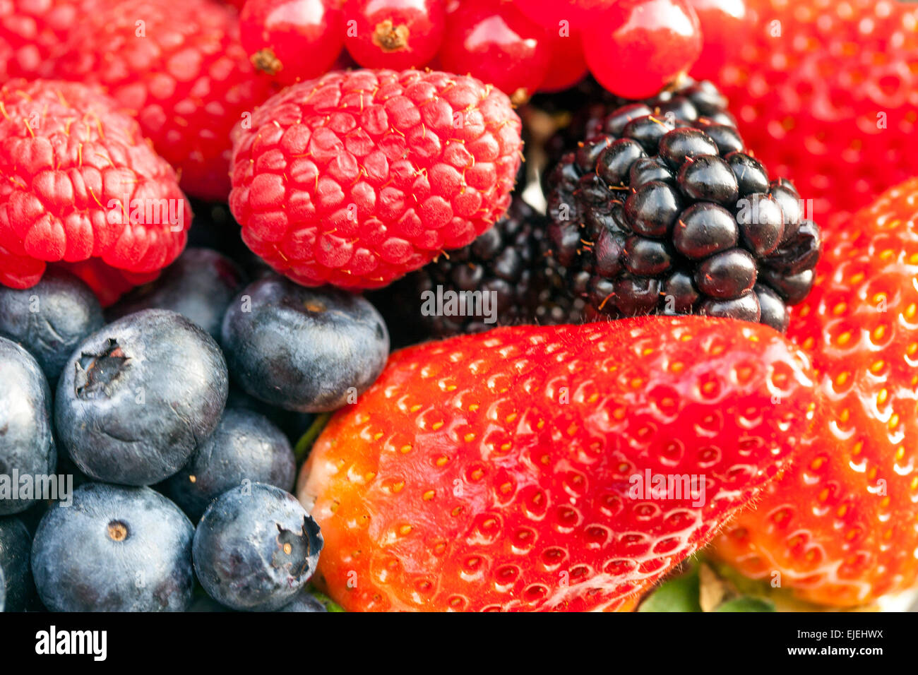 Brombeeren, Himbeeren, Erdbeeren, Blaubeeren close up Textur DeliciousFrüchte saftige Beeren Stockfoto