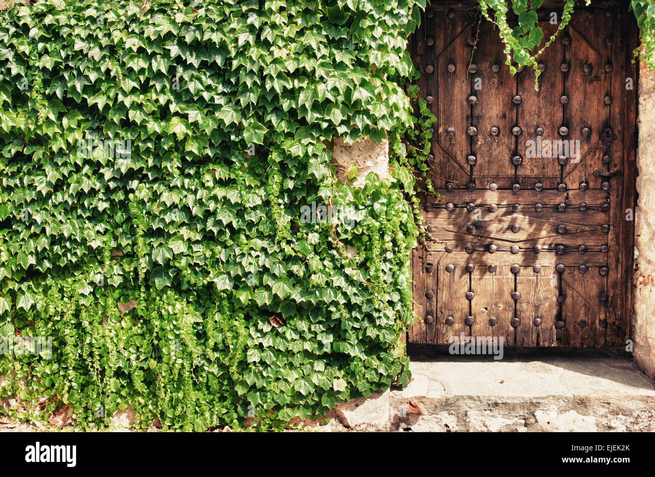 Alte Gebäude mit hölzernen Tür und Efeu, La Alcarria, Spanien Stockfoto