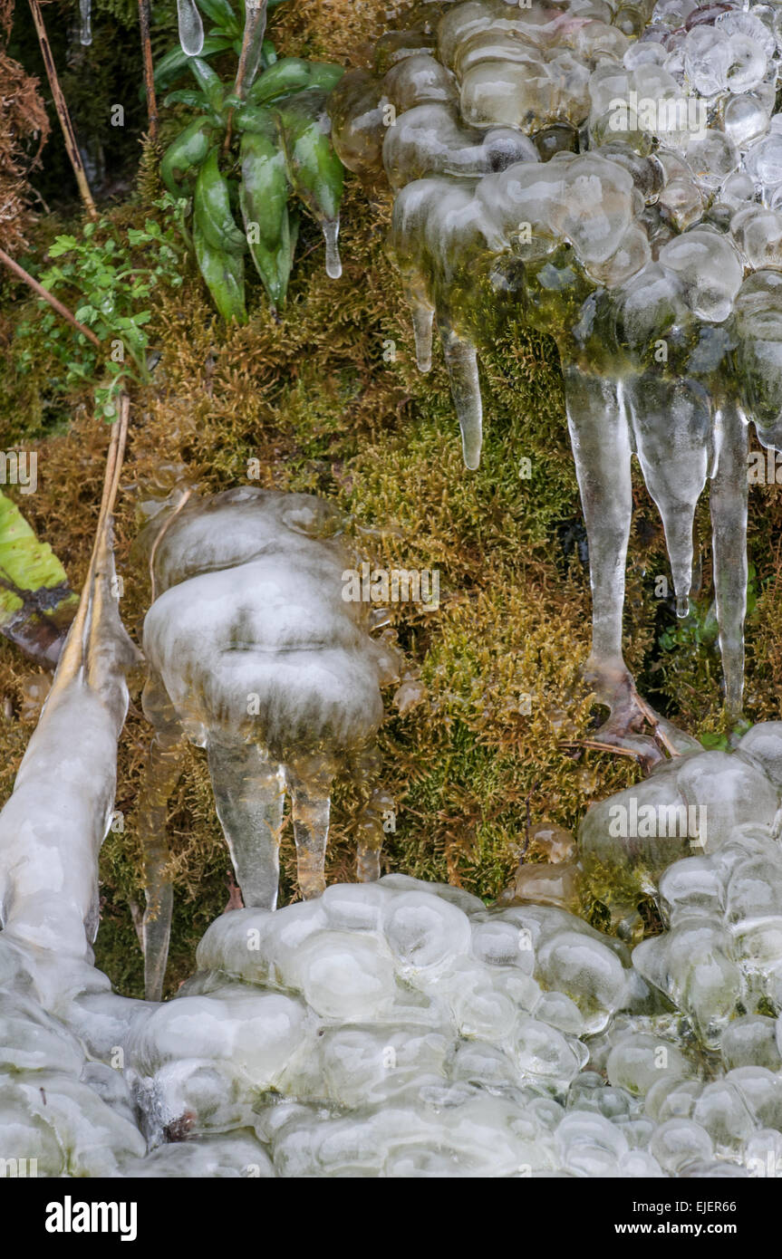 Eisbildung am moosigen Ufer in der Nähe von Wasserfall Stockfoto