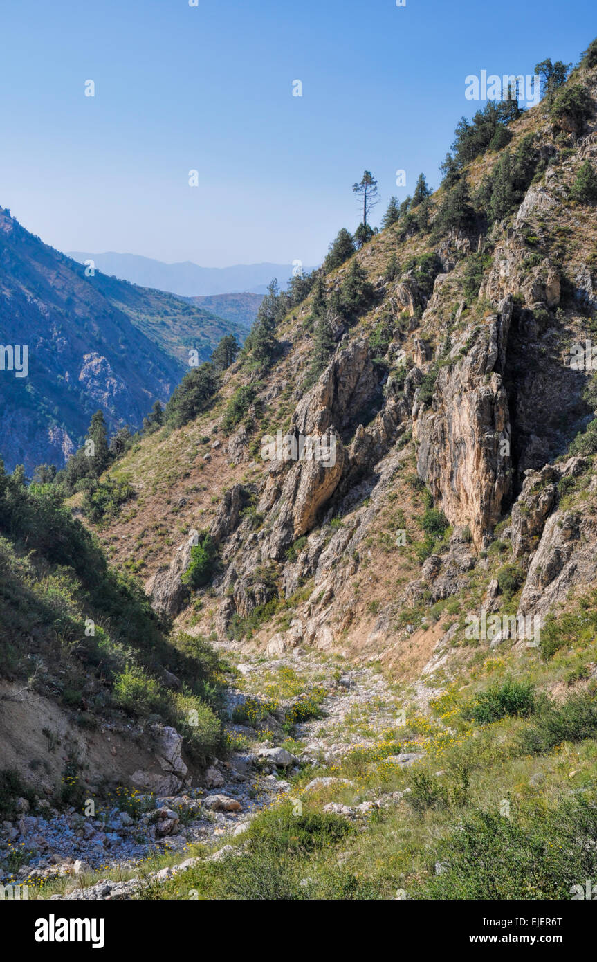 Malerischen Canyon im Tian Shan-Gebirge in der Nähe von Tschimgan in Usbekistan Stockfoto