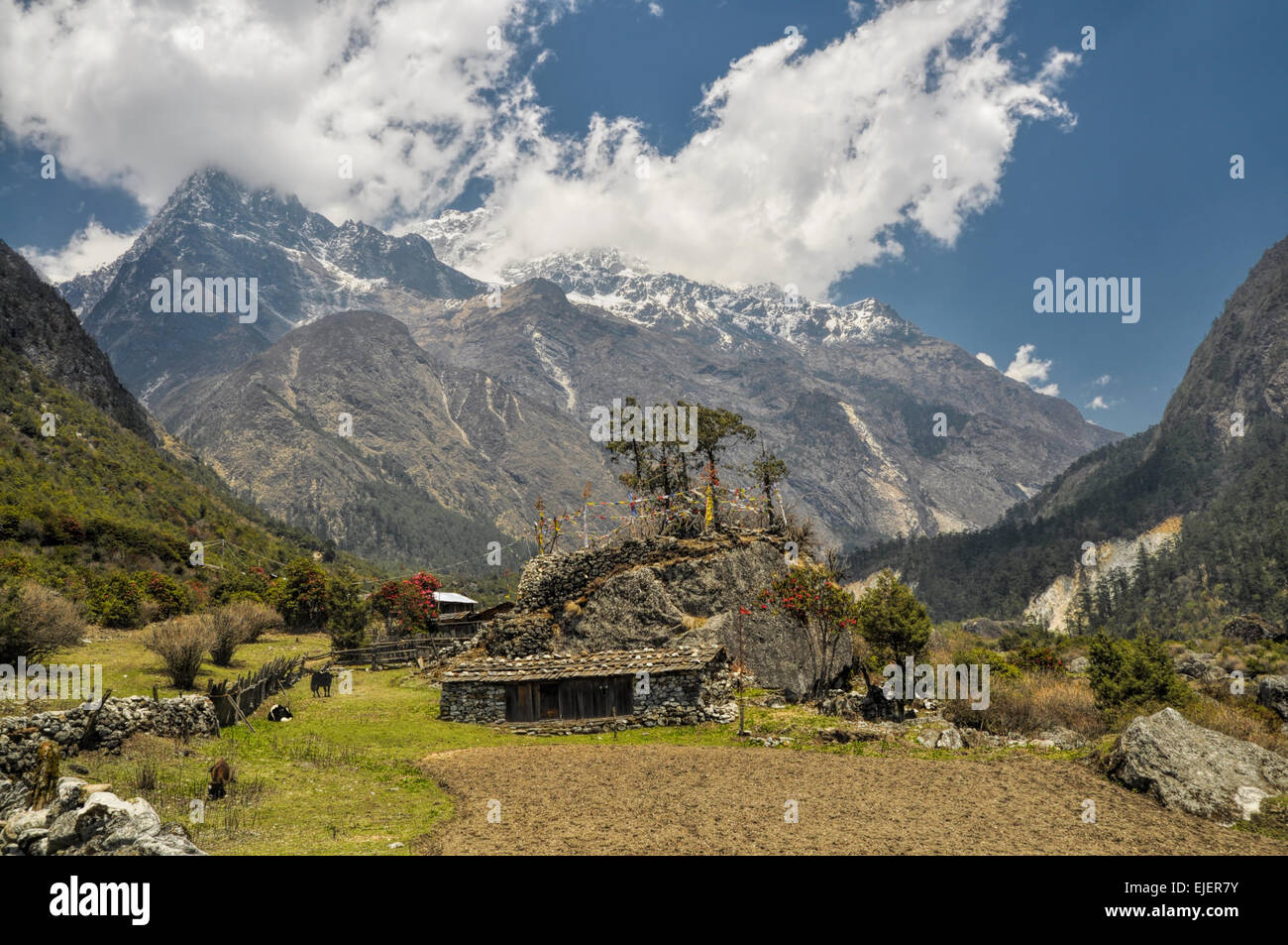 Panoramablick auf Berge Kangchenjunga in Nepal Stockfoto