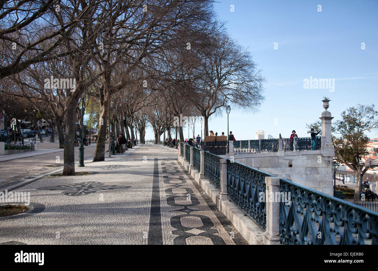 Jardim de São Pedro de Alcântara im Bairro Alto in Lissabon - Portugal Stockfoto