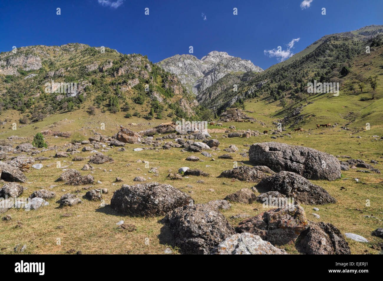 Malerische Landschaft im Tien-Shan-Gebirge in Kirgisistan Stockfoto