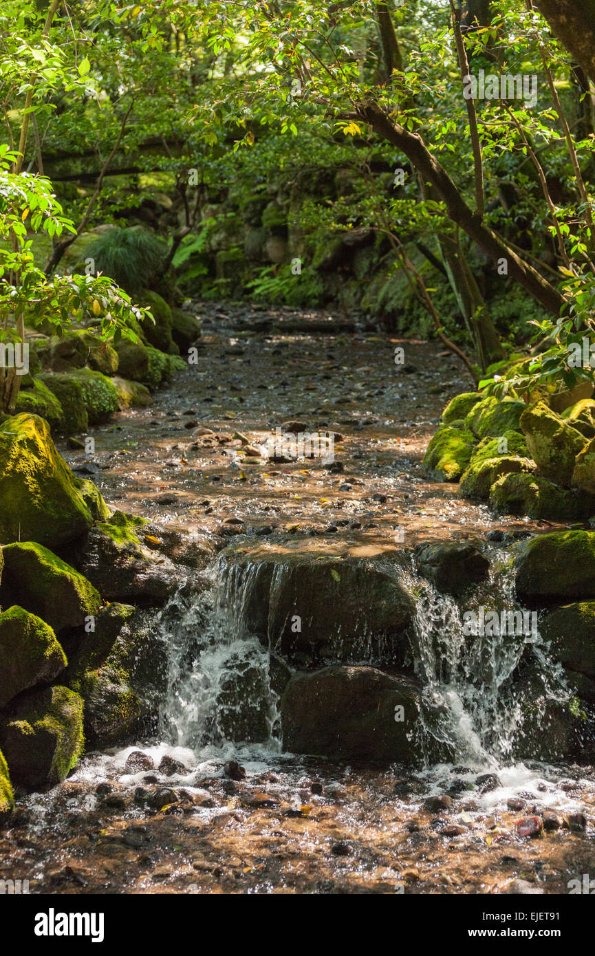 Wasserfall in einen künstlichen Bach inmitten von grünen Bäumen im Sommer im Kenrokuen Japanese Garden in Kanazawa. Stockfoto