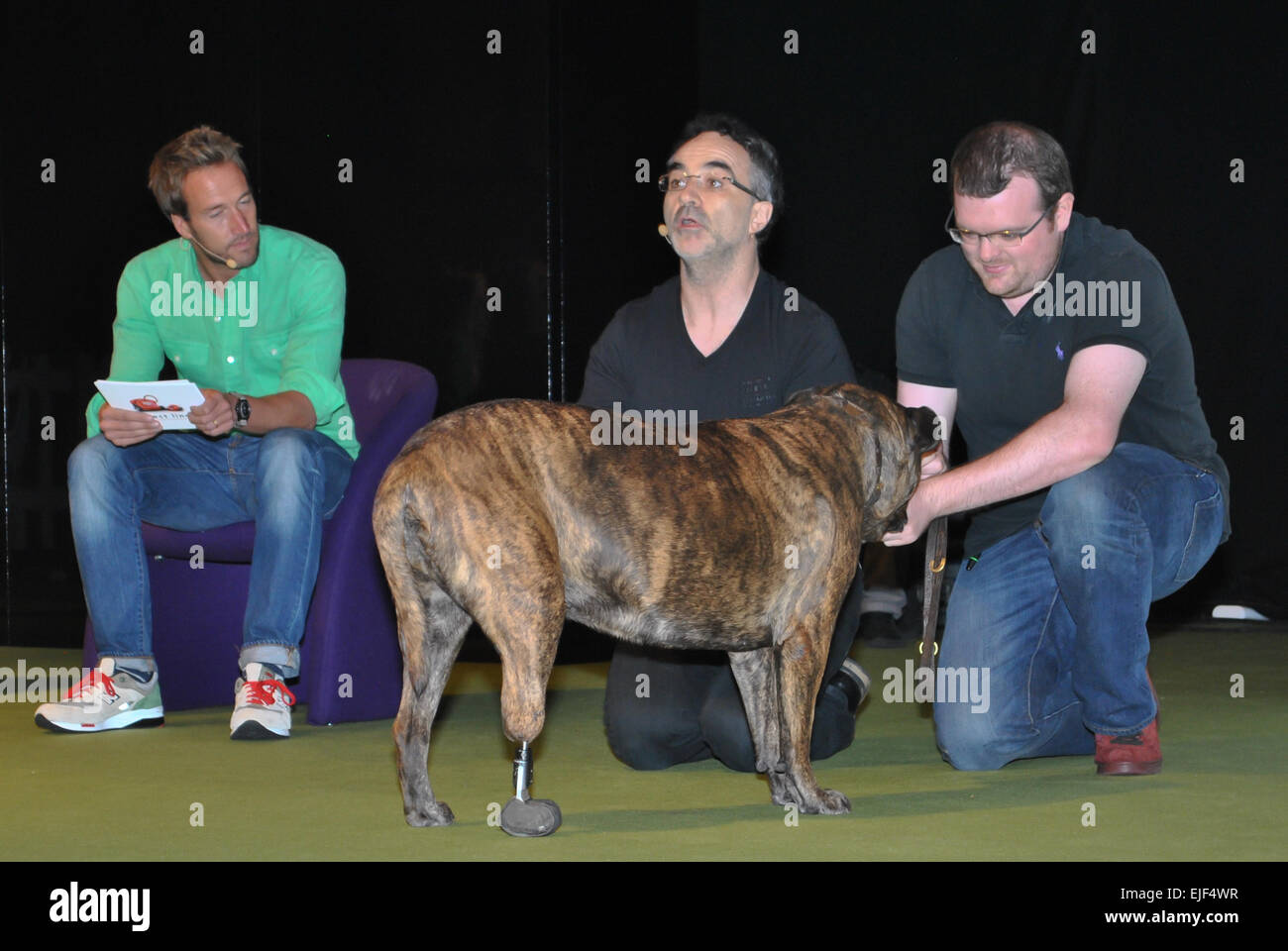 Nationalen Pet Show 2014 - Tag 1 D: Ben Fogle, Noel Fitzpatrick, Alex Döring, Papagena wo: Birmingham, Vereinigtes Königreich bei: 19 Sep 2014 Stockfoto