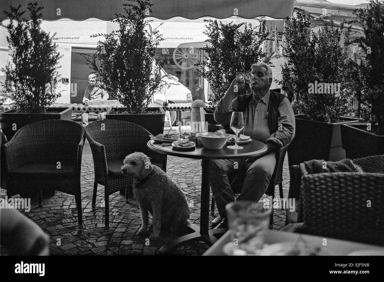 Ein Mann trinkt Wein mit seinem Hund Stockfoto