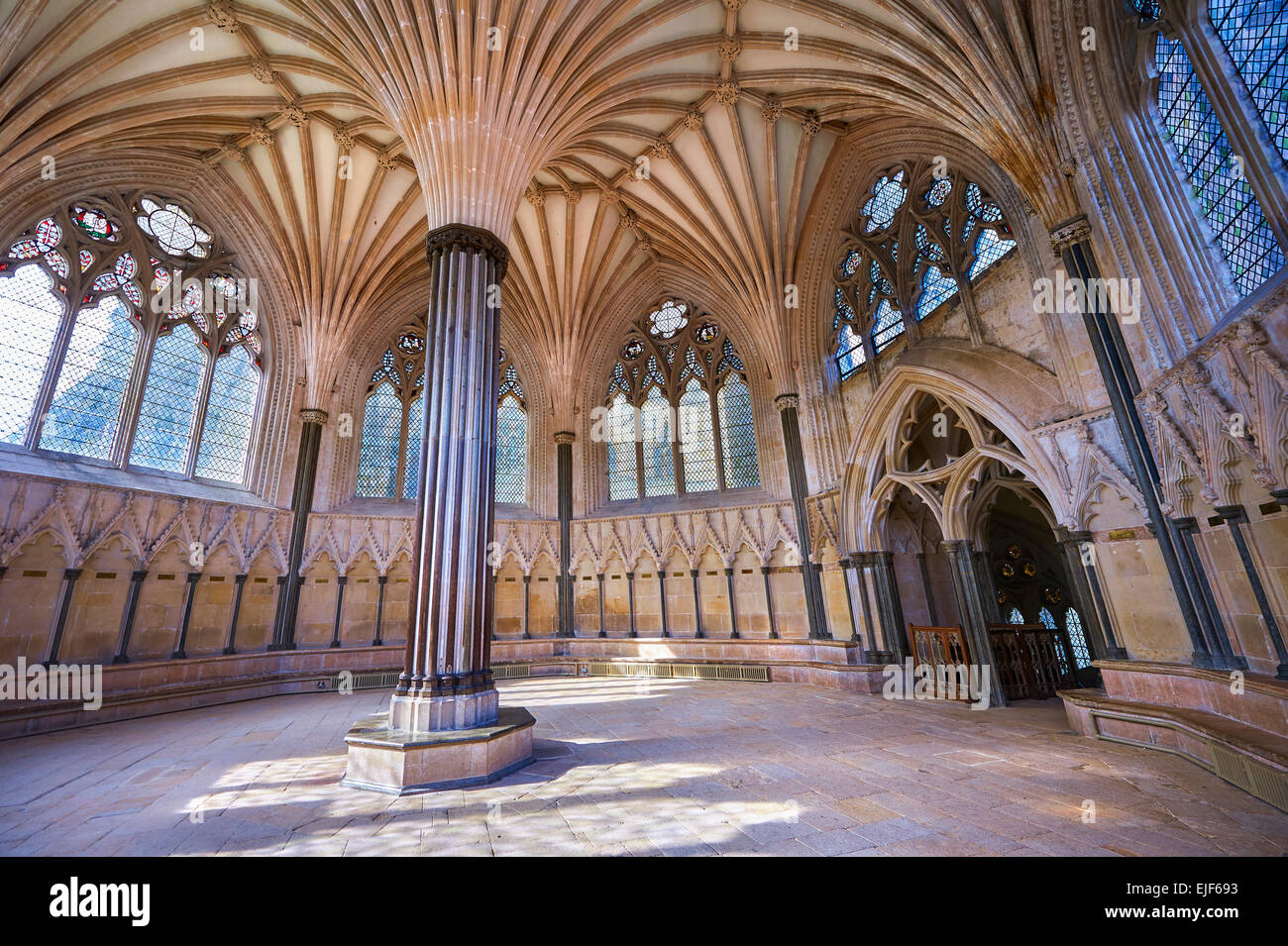 Die gewölbte Decke der Kapitelsaal der mittelalterlichen Brunnen-Kathedrale gebaut in den frühen englischen gotischen Stil im Jahre 1175, Brunnen Stockfoto