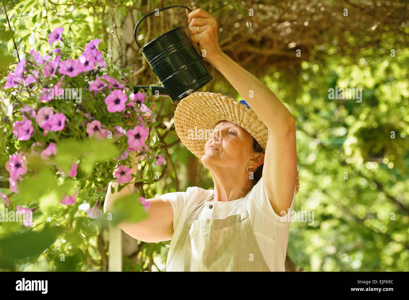 Ältere Frau Gewässern die Blumen in einem hängenden Topf. Sie steht unter einer Pergola Reben bedeckt. Stockfoto