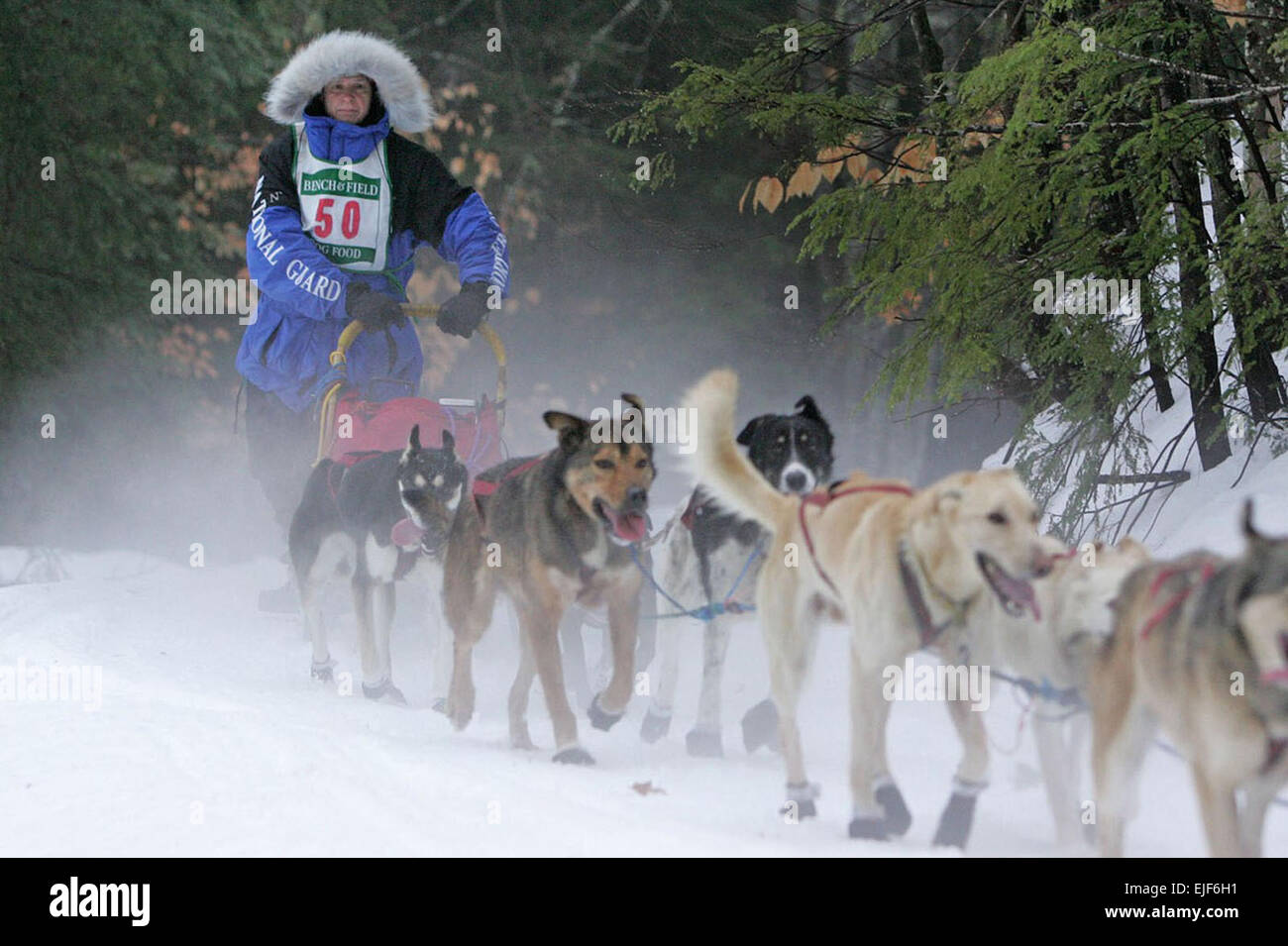 Master Sgt. Rodney Whaley, erste Tennessean jemals in den Iditarod konkurrieren macht ein Training mit seinem Team von Schlittenhunden. Das Iditarod wird voraussichtlich am 1. März beginnen.  Tennessee Nationalgarde Stockfoto