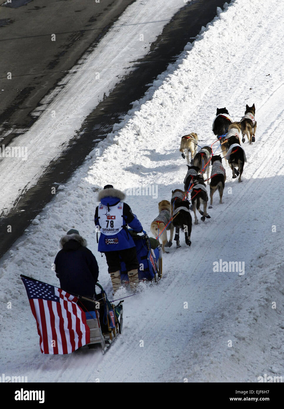 US Army Master Sgt. Rodney Whaley, ein Tennessee-Armee Nationalgardisten, konkurriert in den Iditarod in Alaska 1. März 2008. Whaley ist die erste Tennessean, in zwei Wochen Alaskan Schlittenhunderennen zu konkurrieren.  Staff Sgt Russell Lee Klika Stockfoto