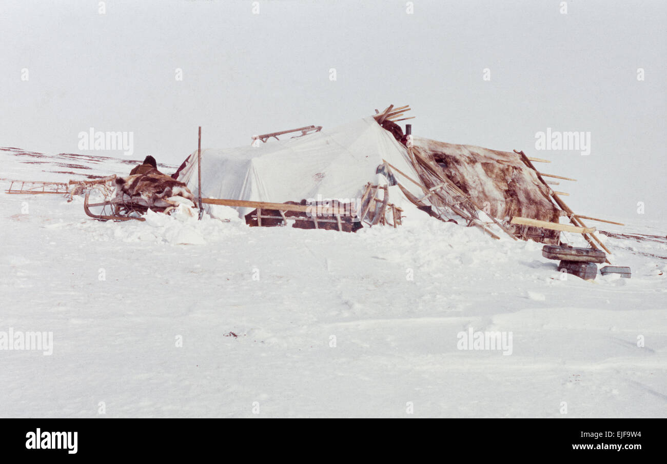 Kalte und warme Yaranga (Zelt-wie herkömmliche Mobilheim) - Familie Behausung der einheimischen Tschuktschen in tundra Stockfoto