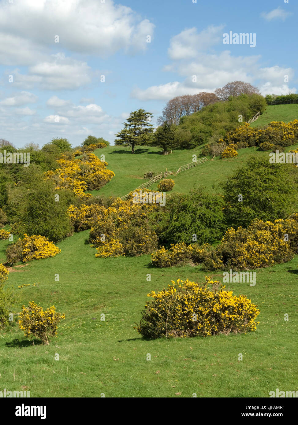 Leicestershire Runde Langstrecken Landschaft Wanderweg in der Nähe von Burrough Hill, Leicestershire, England, UK. Stockfoto