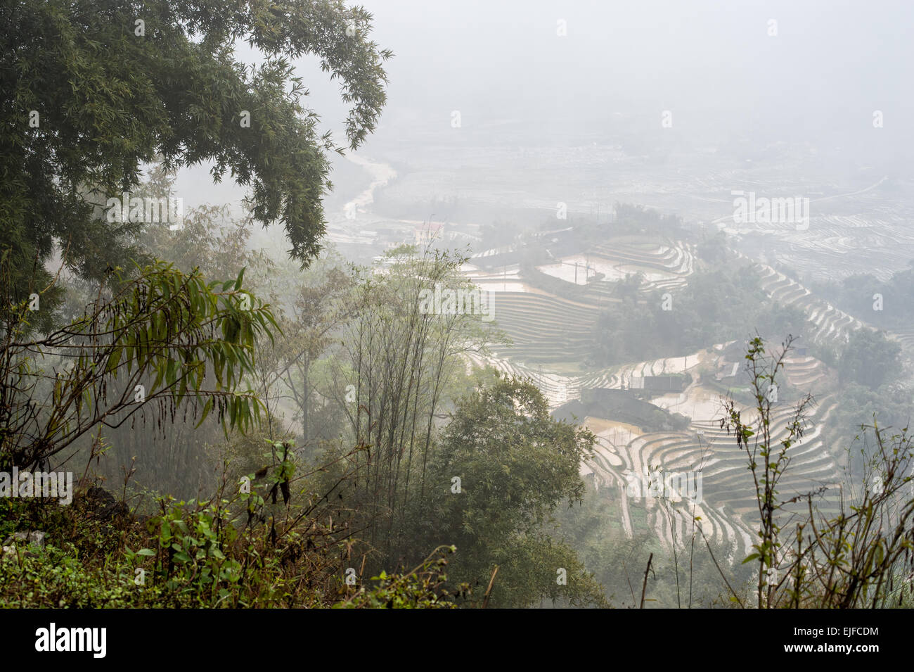 Reis-Terrassen an einem nebeligen Tag außerhalb Sapa in Lao Cai Provinz von Vietnam. Stockfoto