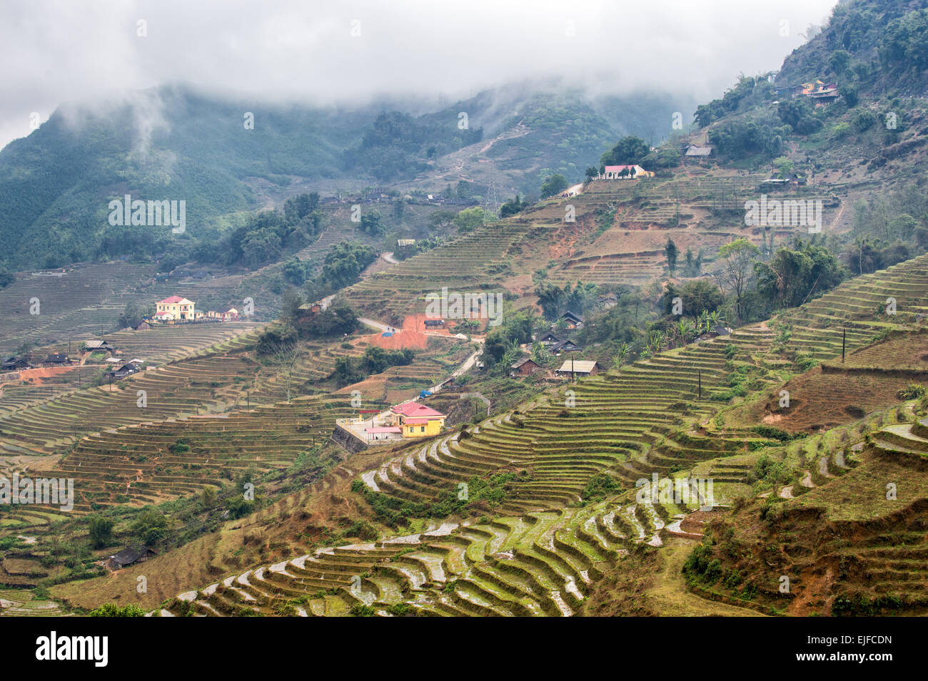 Reis-Terrassen an einem nebeligen Tag außerhalb Sapa in Lao Cai Provinz von Vietnam. Stockfoto