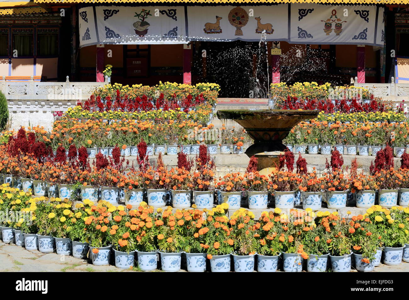 Eintritt in den Takten Mingyur Phodrang ewig unveränderliche neuen Sommerpalast. Gärten-Blumentöpfe-Vorhänge-Ashtamangala-Brunne Stockfoto