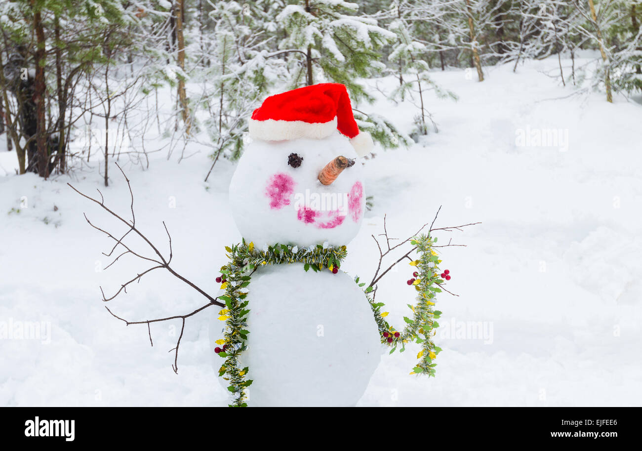 Schneemann mit Eimer auf dem Kopf Stockfoto