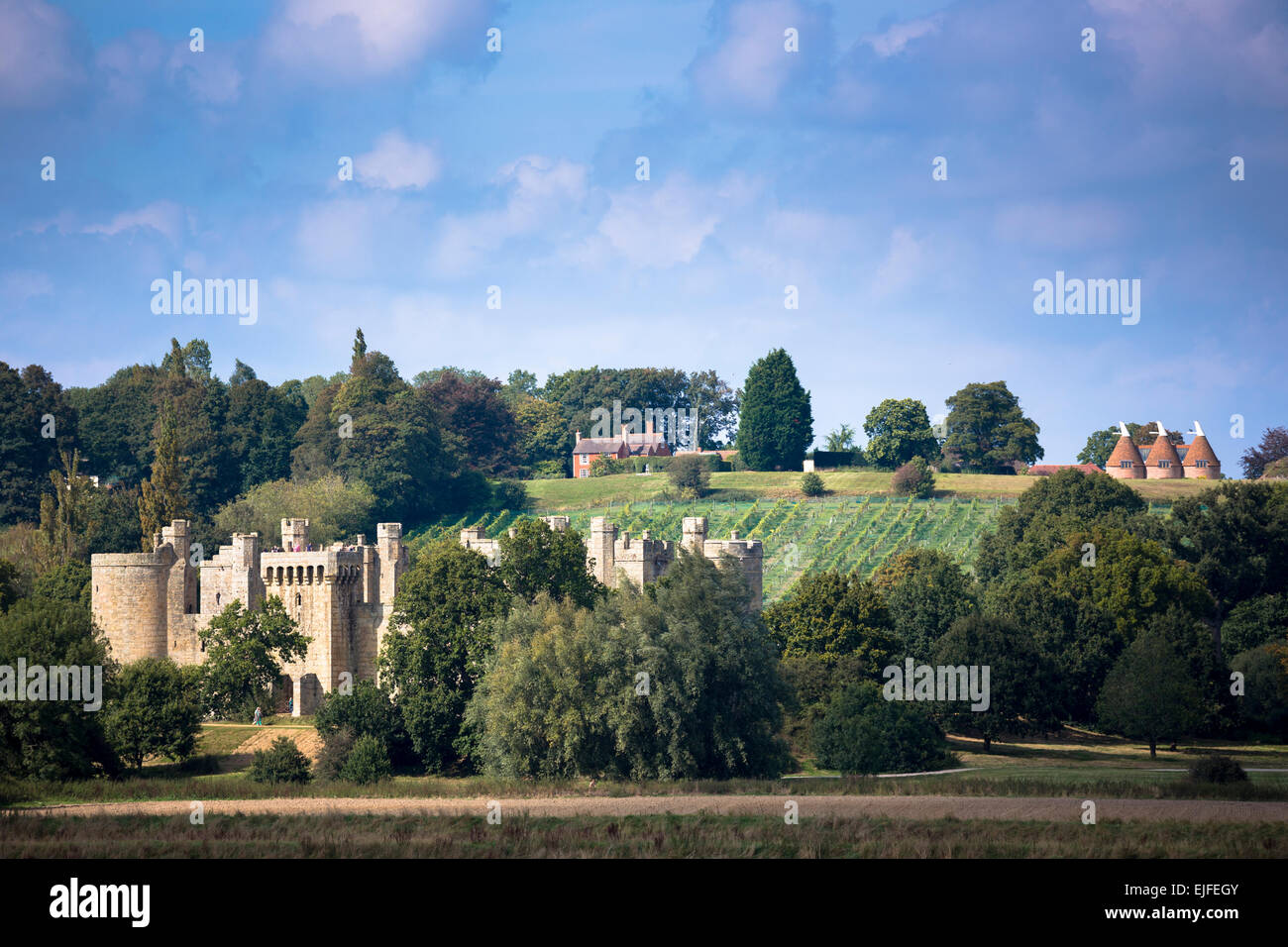 Spektakuläre 14. Jahrhundert Bodiam Castle, National Trust, Weinberg und Oast Häuser auf East Sussex und Kent Grenze, England, UK Stockfoto