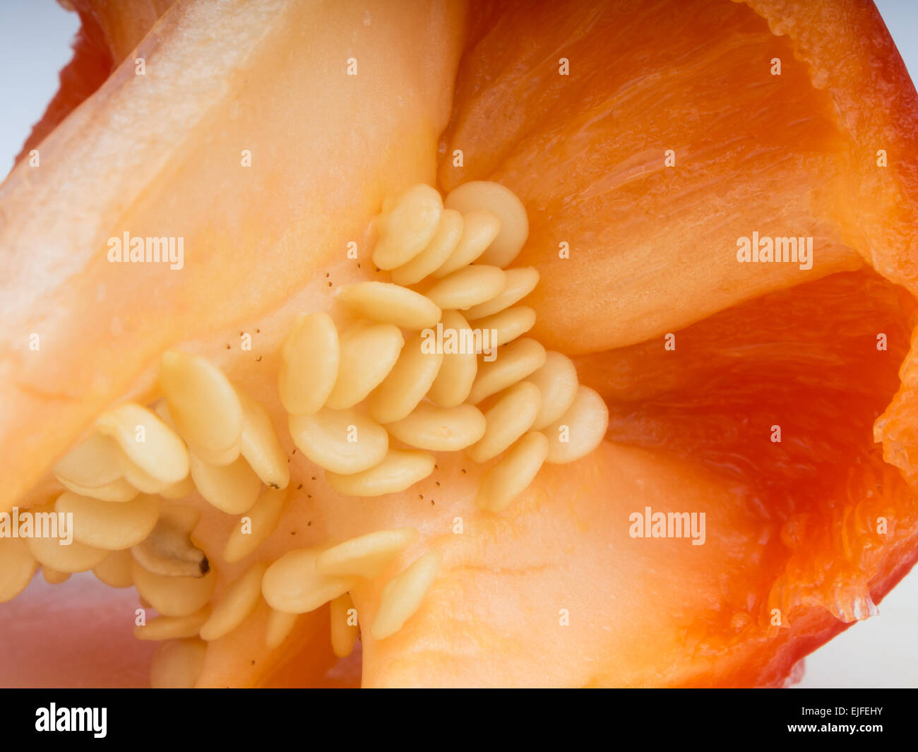 Nahaufnahme von der Innenseite der eine frische rote Paprika mit Samen Stockfoto