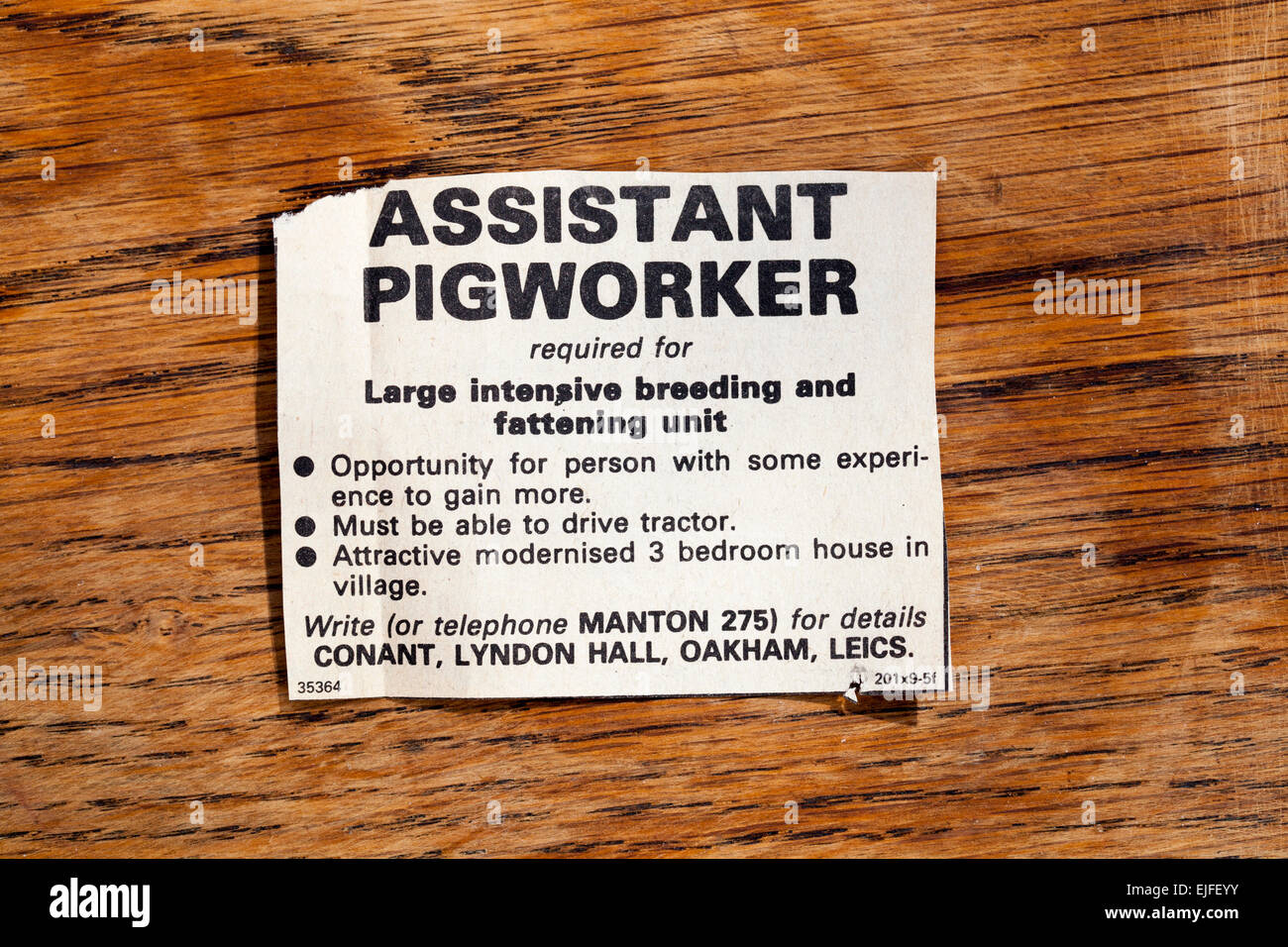 Jahrgang 1970 Zeitung Anzeige für Assistent Pigworker Stockfoto