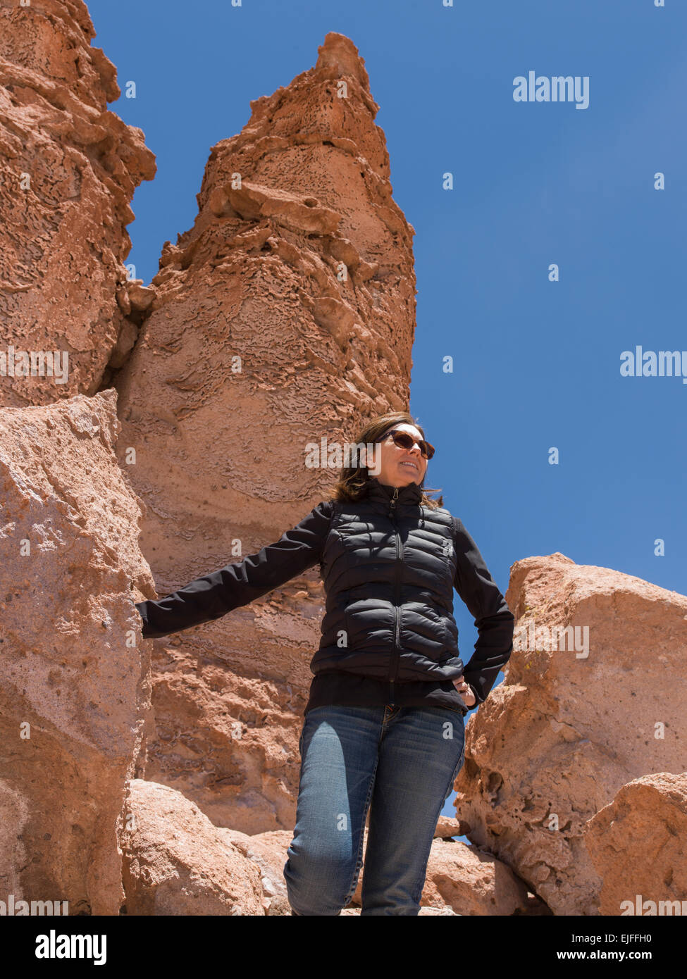 Salar de Atacama, San Pedro de Atacama, El Loa Provinz, Region Antofagasta, Chile Stockfoto