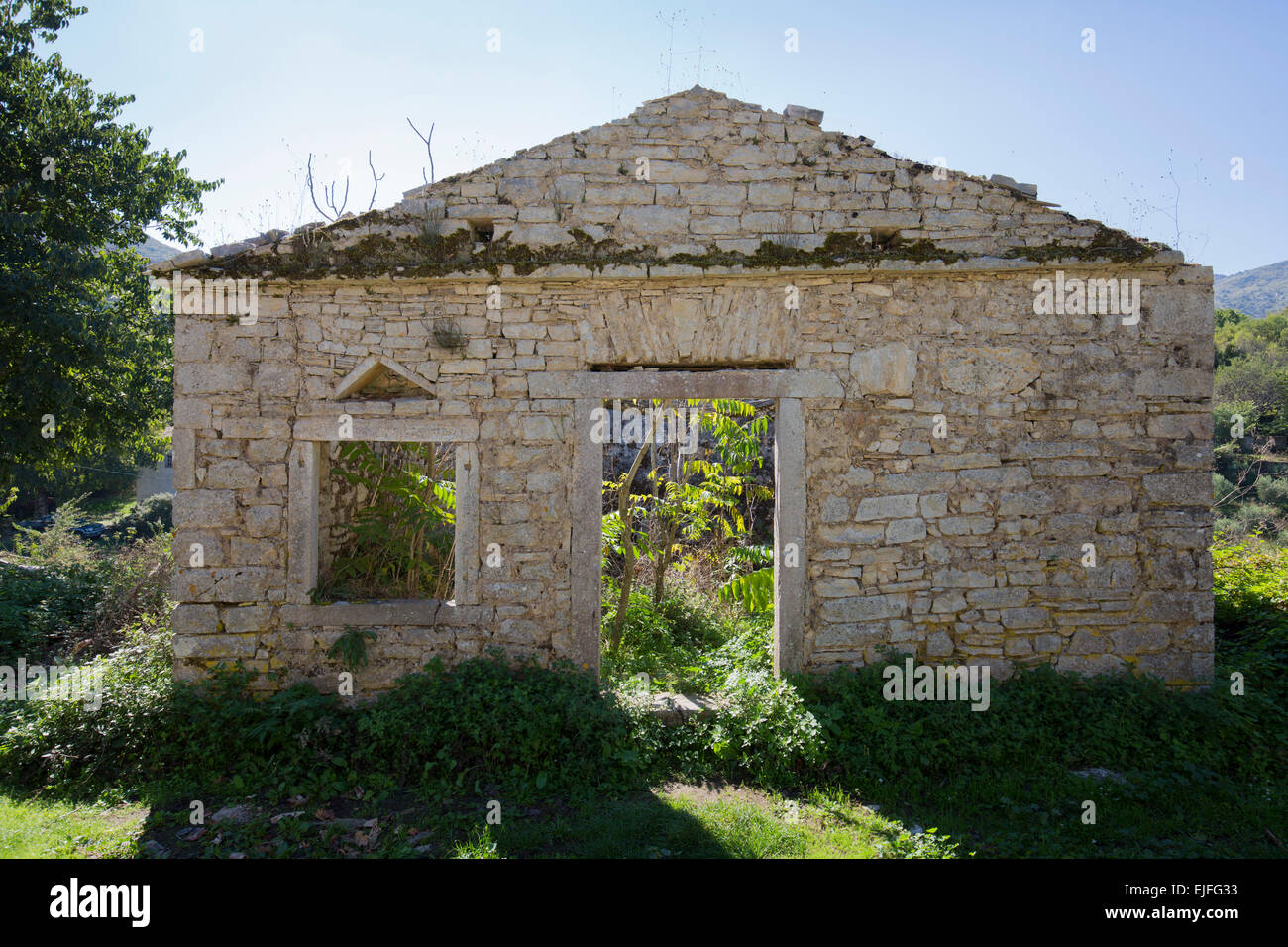 Bäume wachsen in verfallenes Haus Ruinen im alten Dorf von alte Perithia - Palea Peritheia - Korfu, Griechenland Stockfoto