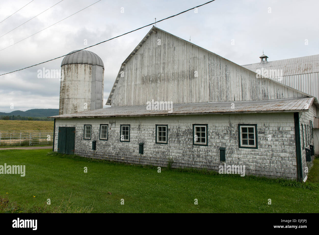 Scheune in einem Feld, Quebec, Kanada Stockfoto