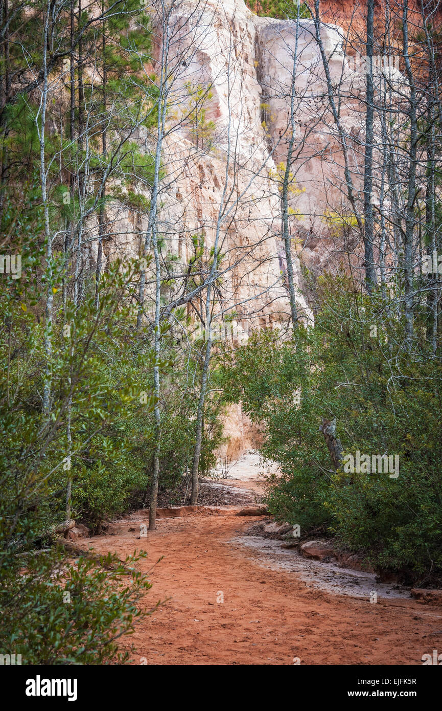 Der Weg in den ProvidenceCanyon State Park in Lumpkin, Georgia. (USA). Stockfoto
