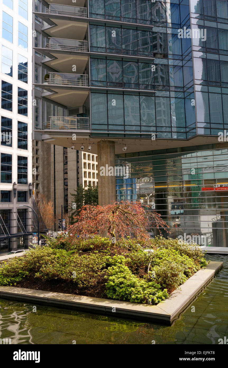 Zierpflanzen und Teich mit Glas und Stahl Fassade des Shangri-La Hotels in den Rücken, Vancouver, BC, Kanada Stockfoto