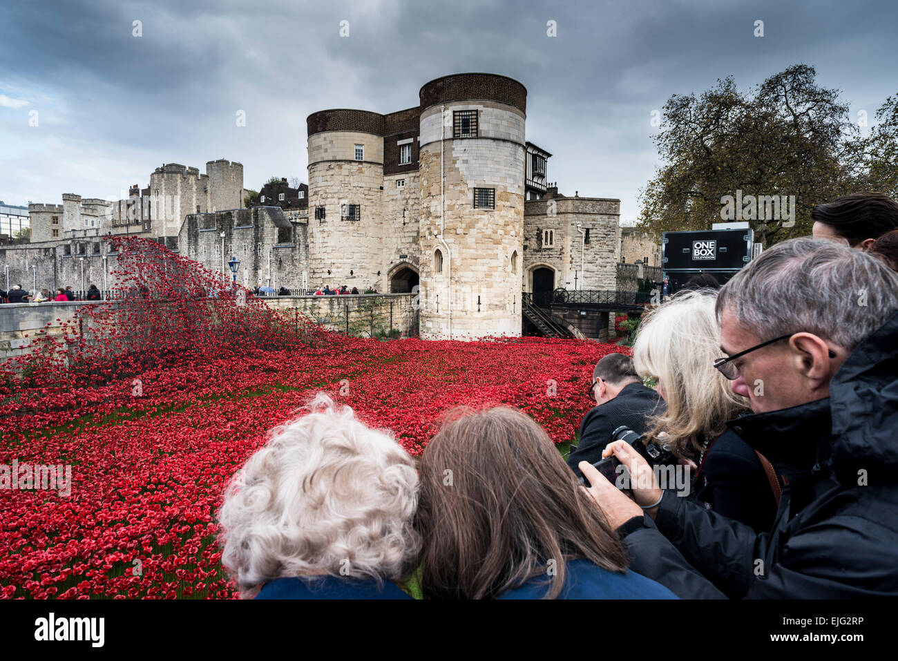 Tower of London und Keramik roter Mohn (entworfen von Paul Cummins) installiert als ein Kriegerdenkmal, UK Stockfoto