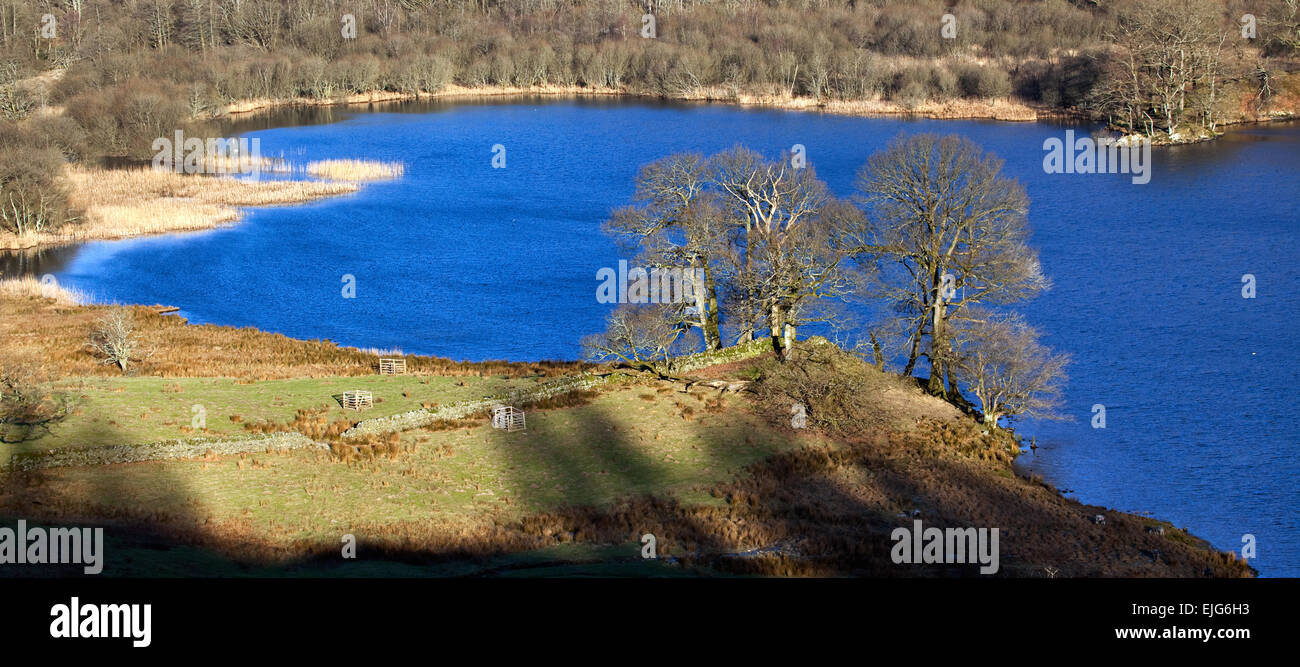 Nordufer des Rydal Wasser, im Winter Lake District National Park Cumbria England Großbritannien Stockfoto