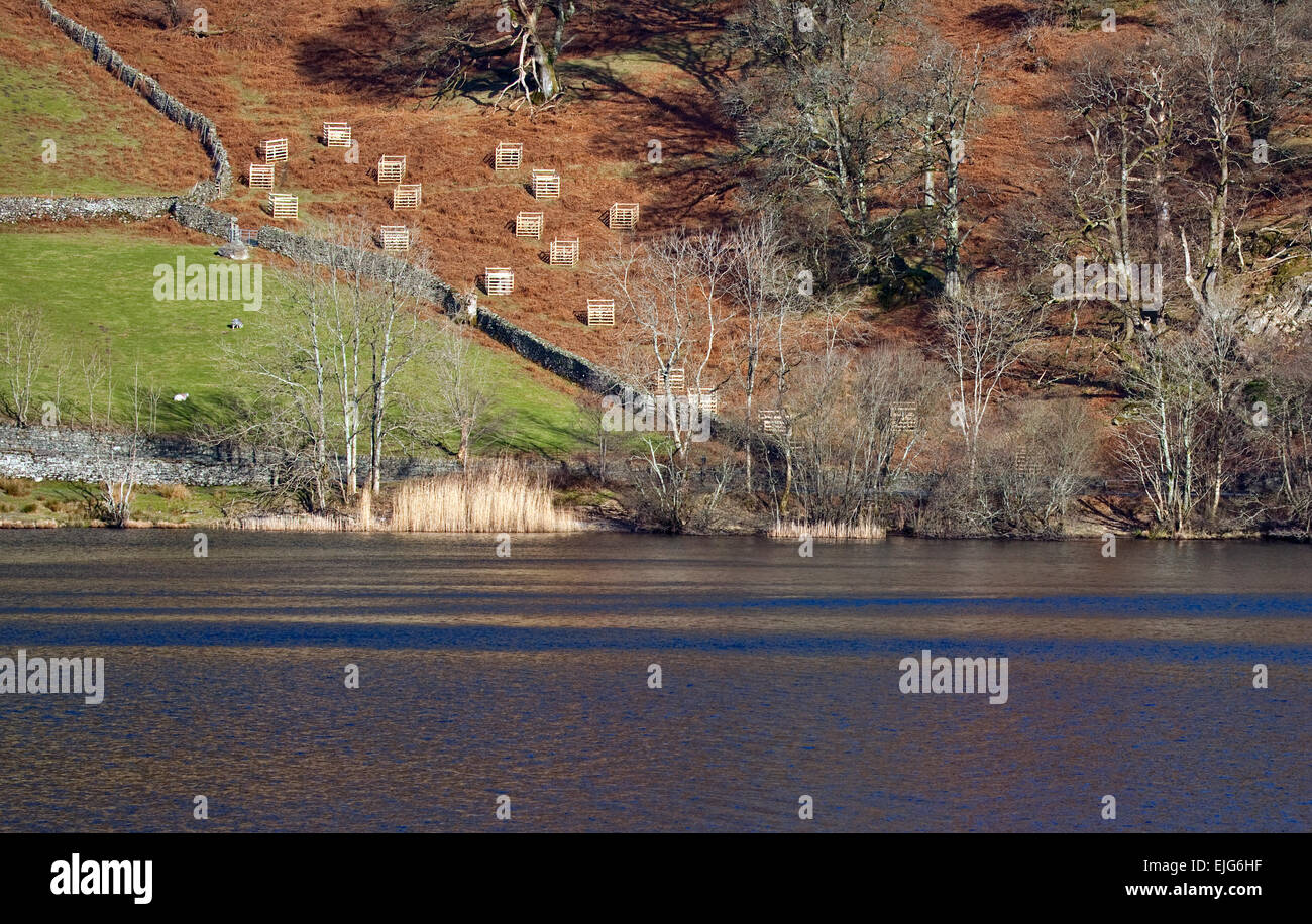 Rydal Wasser und Ufer im Winter Lake District National Park Cumbria England Großbritannien Stockfoto