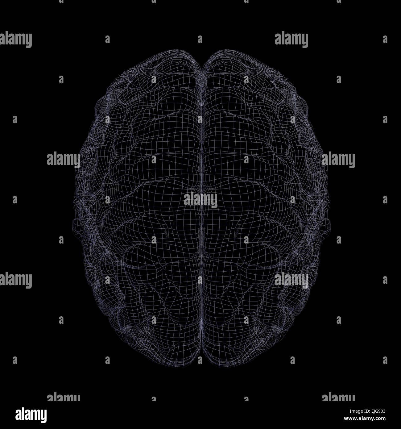 Wire-Frame des menschlichen Gehirns Stockfoto