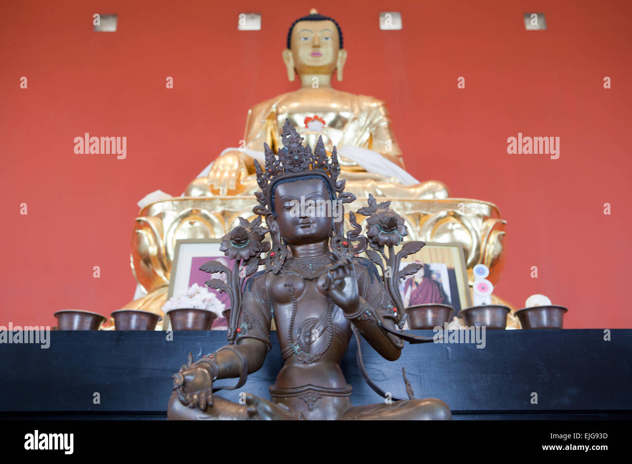 Buddhastatuen, Nahaufnahme Gesicht Gold Buddha, Malaga, Spanien Stockfoto