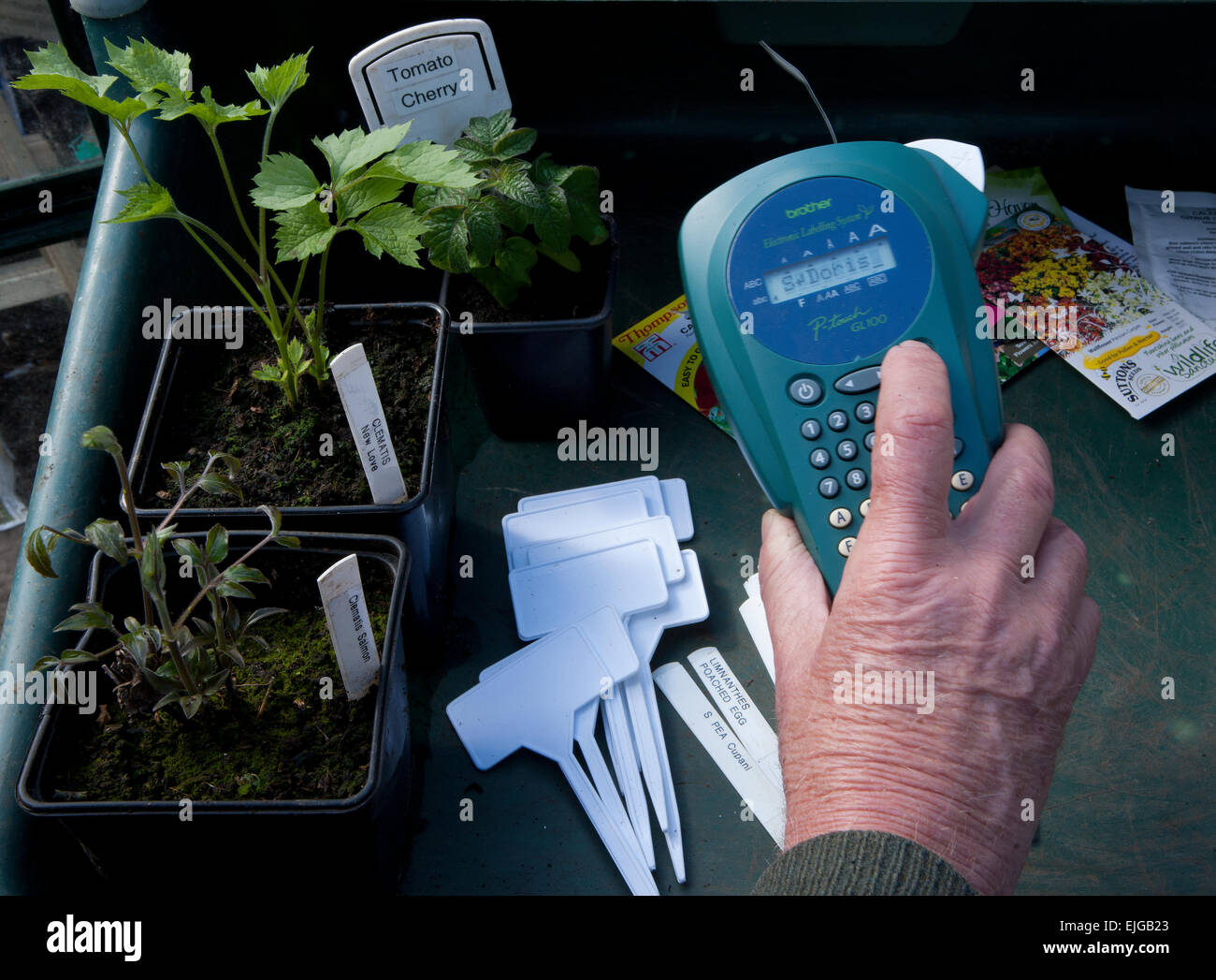 Drucken Etiketten für Gartenpflanzen, mit einem Bruder Hand Drucker in einem Gewächshaus. Auf der Bank in einem Blumenerde Tablett. Stockfoto