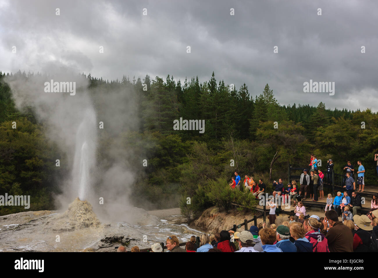 Menschen, die gerade für die Lady Knox Geyser durchbrechenden im Wai-O-Tapu Thermal Wonderland, Nordinsel, Neuseeland. Stockfoto