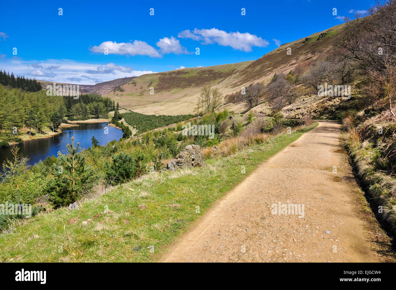 Schönen, sonnigen Frühlingstag im oberen Derwent Valley in Derbyshire. Flauschige weiße Wolken am blauen Himmel. Stockfoto