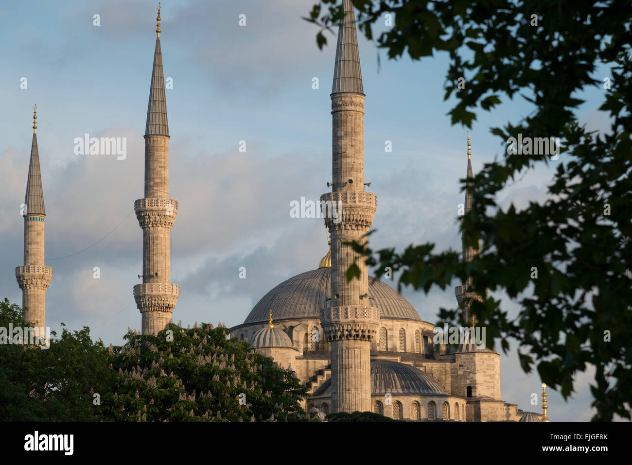 Blaue Moschee. Istanbul. Turkei. Stockfoto