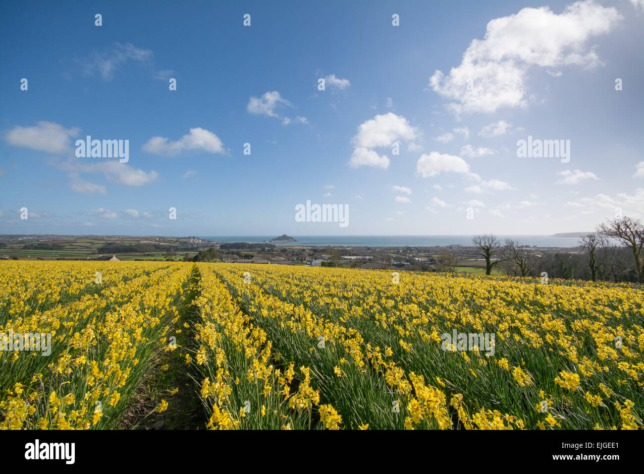 Penzance, Cornwall, UK. 26. März 2015. Großbritannien Wetter. Sonnigen Himmel über Mounts Bay, mit Blick auf St. Michaels Mount. Bildnachweis: Simon Yates/Alamy Live-Nachrichten Stockfoto