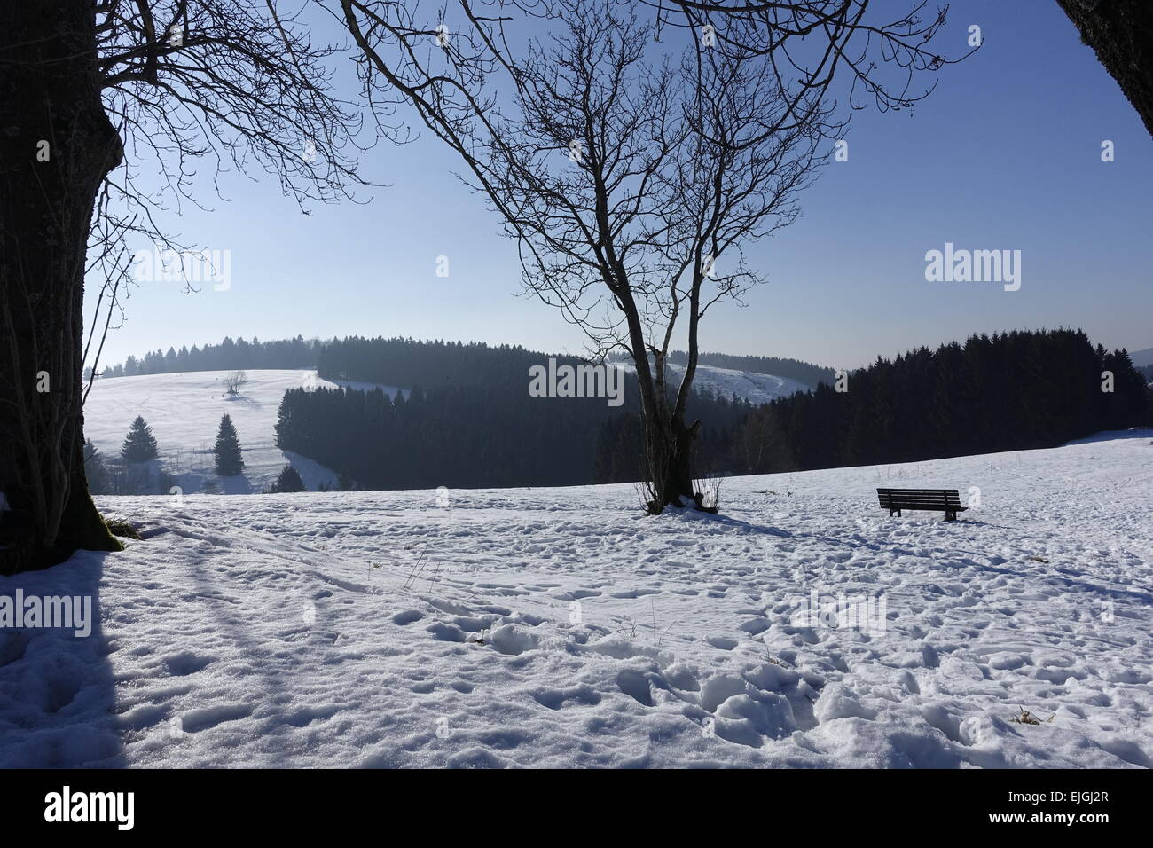 Sankt Andreasberg, Harz im Winter Stockfoto