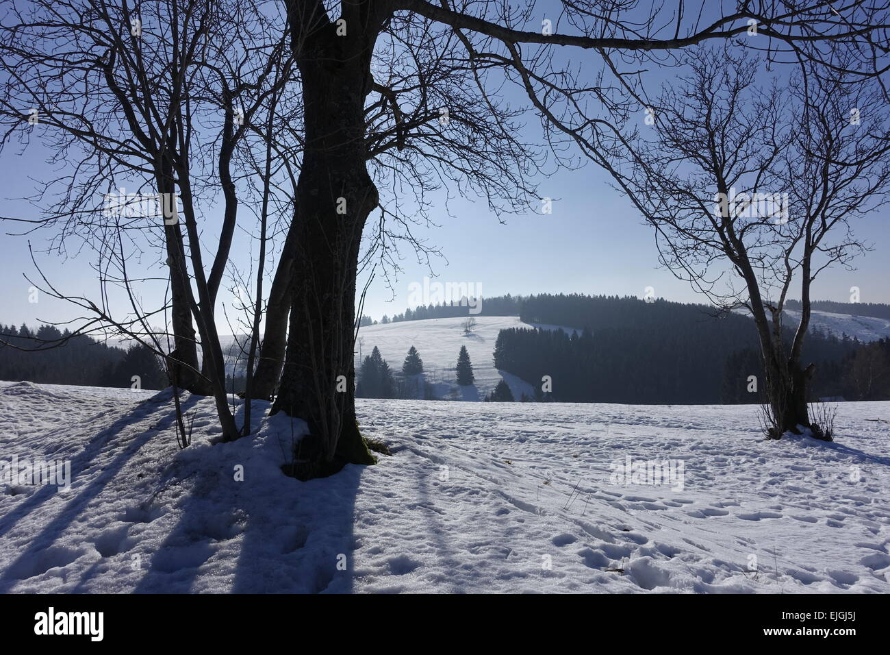 Sankt Andreasberg, Harz im Winter Stockfoto