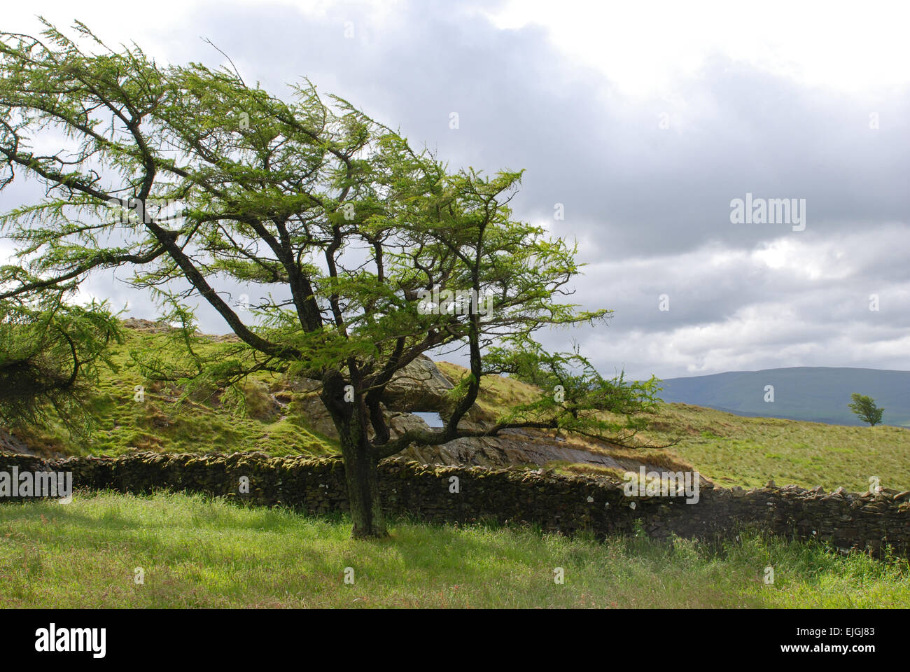 Standort von George Fox's Pulpit auf Firbank fiel in Cumbria an einem hellen sonnigen Tag Stockfoto